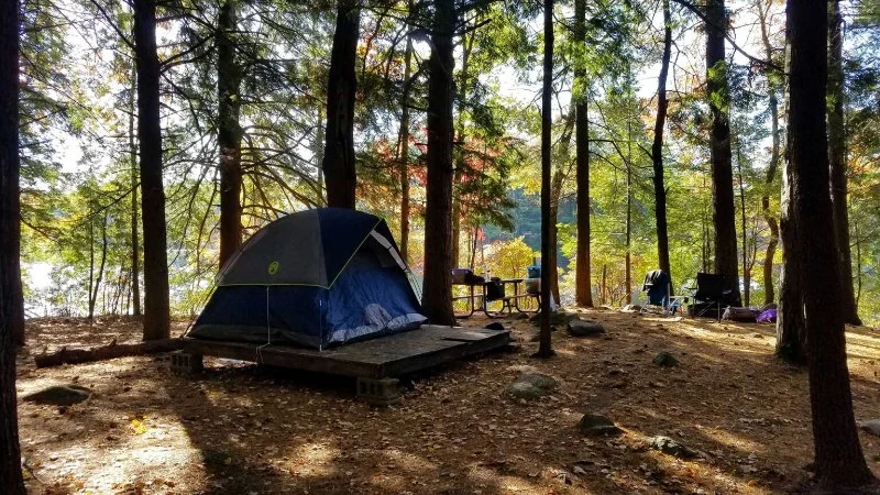 How to Build a Comfortable Campsite in the Woods: Tips for a Cozy Outdoor Experience