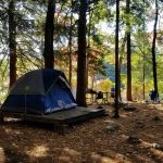 How to Build a Comfortable Campsite in the Woods: Tips for a Cozy Outdoor Experience