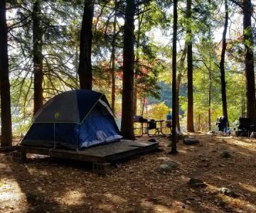 How to Build a Comfortable Campsite in the Woods: Tips for a Cozy Outdoor Experience