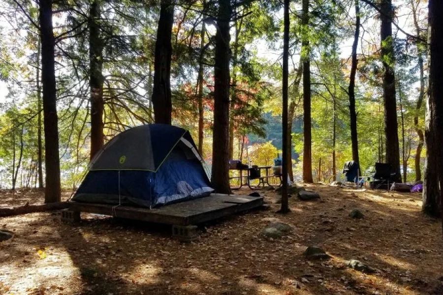 How to Build a Comfortable Campsite in the Woods: Tips for a Cozy Outdoor Experience