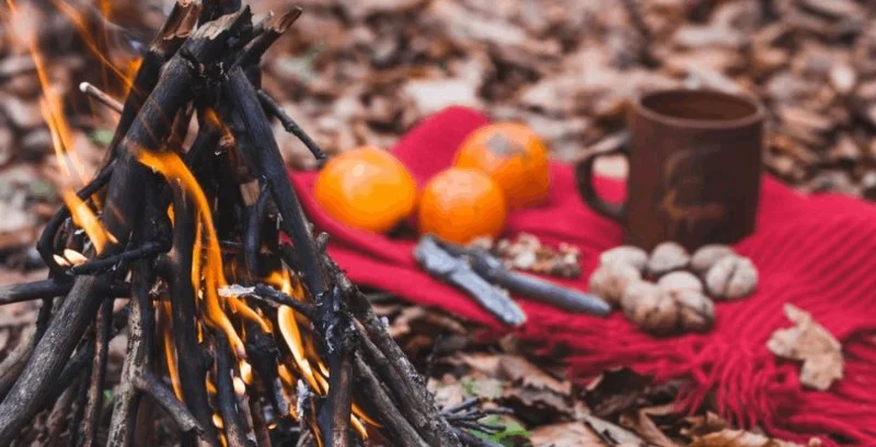 How to Keep Food Fresh While Camping in Summer