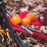 How to Keep Food Fresh While Camping in Summer
