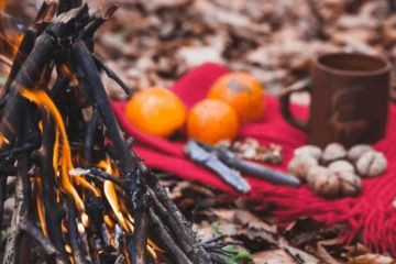 How to Keep Food Fresh While Camping in Summer
