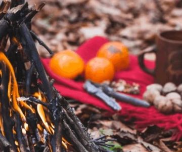 How to Keep Food Fresh While Camping in Summer