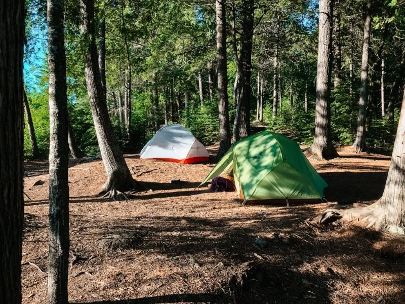Top 10 Camping Tips for Beginners in National Parks