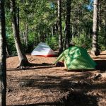 Top 10 Camping Tips for Beginners in National Parks