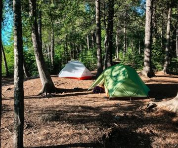Top 10 Camping Tips for Beginners in National Parks