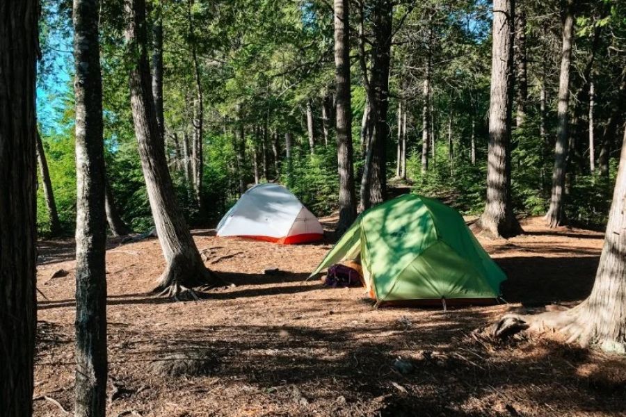Top 10 Camping Tips for Beginners in National Parks