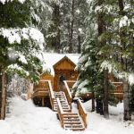 Best Winter Campsites for Cozy Cabin Stays