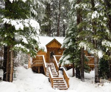 Best Winter Campsites for Cozy Cabin Stays
