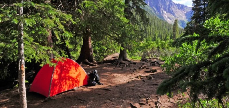Top 10 Scenic National Forest Campgrounds | Camp Spotter