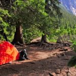 Top 10 Scenic National Forest Campgrounds | Camp Spotter
