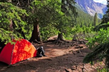 Top 10 Scenic National Forest Campgrounds | Camp Spotter