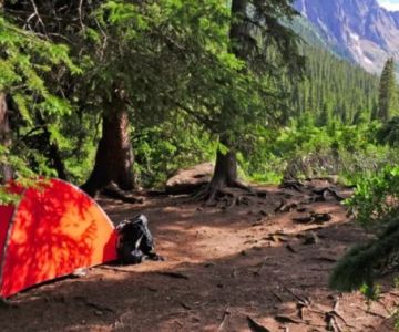 Top 10 Scenic National Forest Campgrounds | Camp Spotter