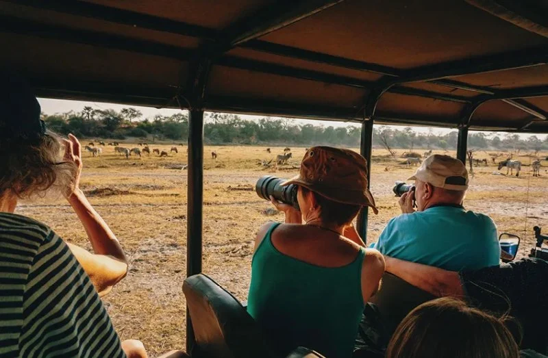 Top 5 Campsites for Wildlife Photography | Camp Spotter