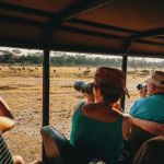 Top 5 Campsites for Wildlife Photography | Camp Spotter