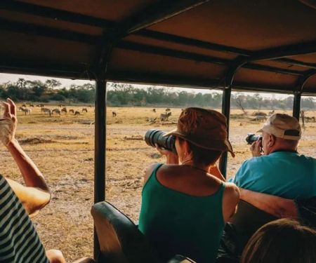 Top 5 Campsites for Wildlife Photography | Camp Spotter