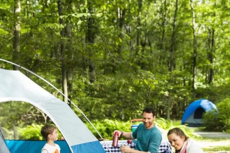 How to Camp with Kids Without Losing Your Mind