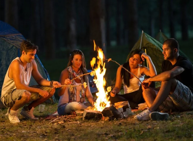 How to Stay Safe While Camping in Moose Country