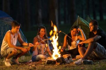 How to Stay Safe While Camping in Moose Country