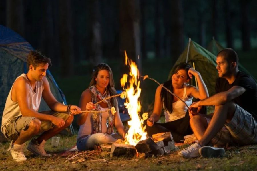 How to Stay Safe While Camping in Moose Country