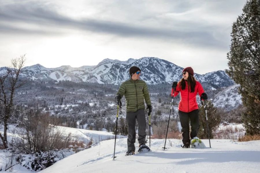 Best Campsites for Winter Hiking and Snowshoeing