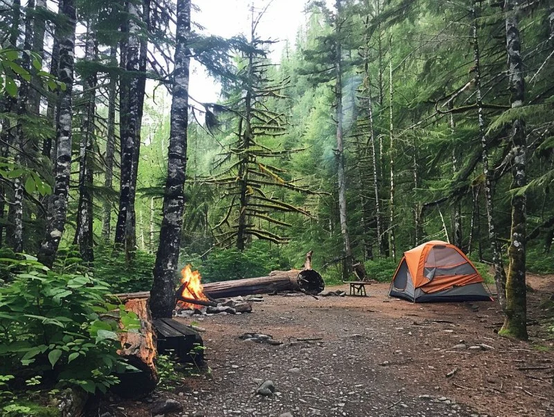 Best Campsites for Backpacking Adventures in National Forests