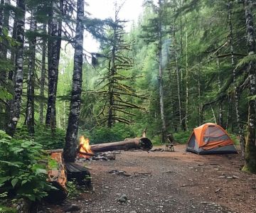Best Campsites for Backpacking Adventures in National Forests