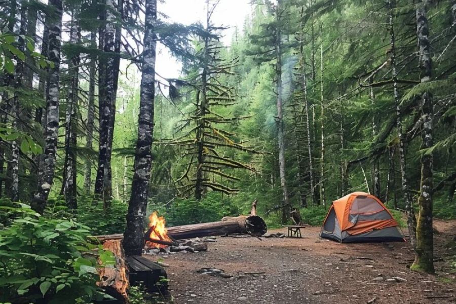 Best Campsites for Backpacking Adventures in National Forests