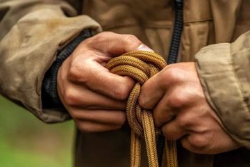 Top 10 Essential Camping Knots and Skills for Every Outdoor Enthusiast