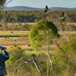 Best Campsites for Birdwatching Enthusiasts in the U.S. | Top Locations