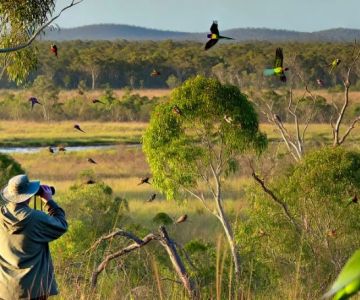 Best Campsites for Birdwatching Enthusiasts in the U.S. | Top Locations