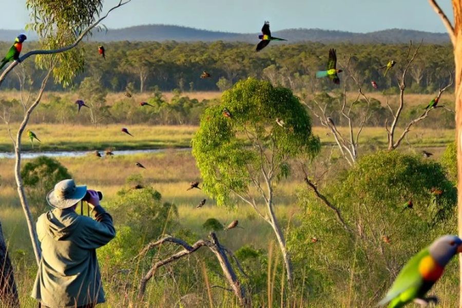 Best Campsites for Birdwatching Enthusiasts in the U.S. | Top Locations