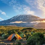 Top 5 Campsites for Rock Climbing Enthusiasts: Perfect Destinations for Adventure Seekers