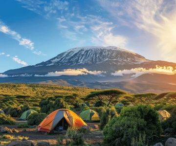 Top 5 Campsites for Rock Climbing Enthusiasts: Perfect Destinations for Adventure Seekers