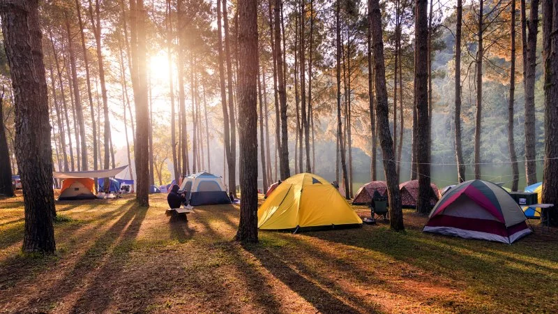 How to Find Campsites with Year-Round Access in the U.S.