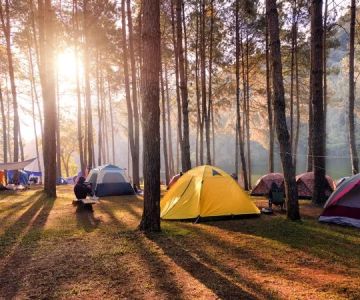 How to Find Campsites with Year-Round Access in the U.S.