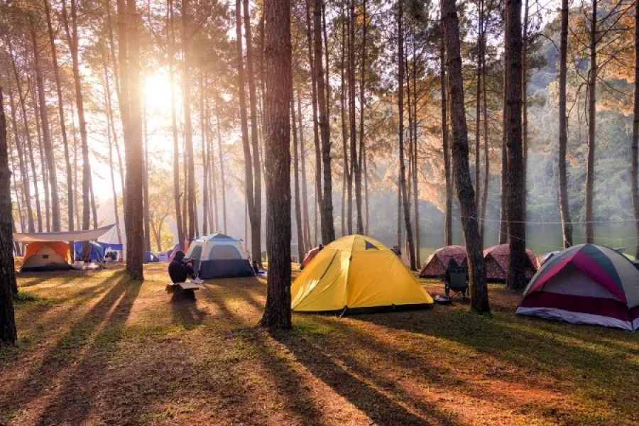 How to Find Campsites with Year-Round Access in the U.S.