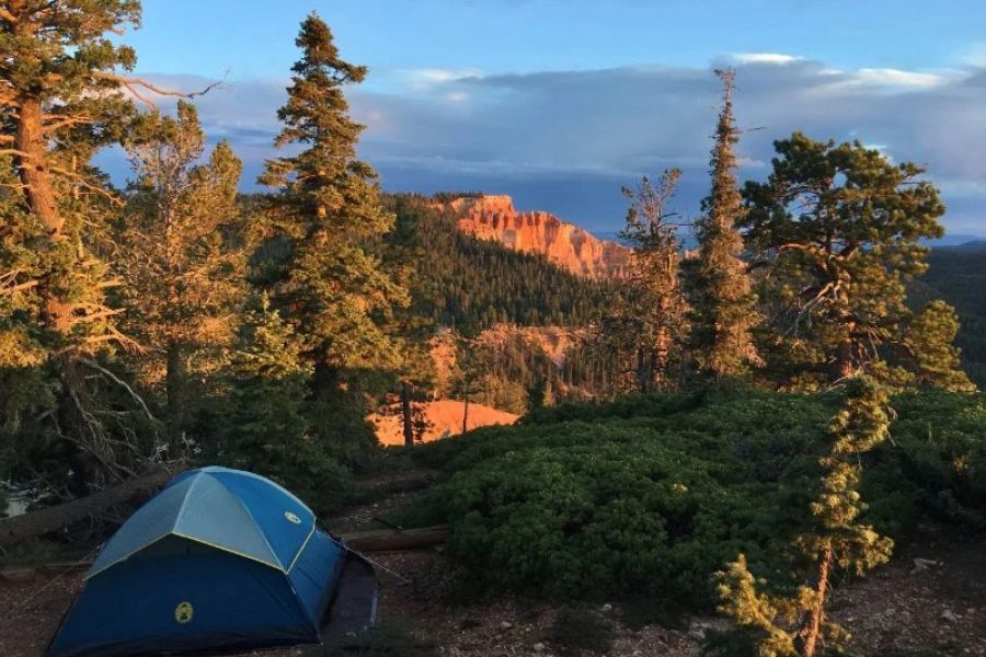 Best National Parks for Tent Camping in the U.S.