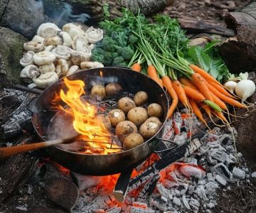 How to Make Campfire Cooking Healthy and Delicious – Tips and Recipes