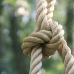 Top 10 Essential Camping Knots and Skills for Beginners and Experts