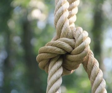 Top 10 Essential Camping Knots and Skills for Beginners and Experts