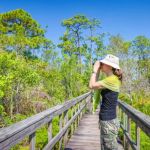 The Best Campsites for Birdwatching Enthusiasts in the U.S.