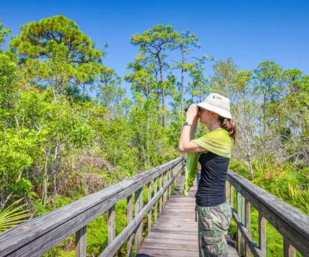 The Best Campsites for Birdwatching Enthusiasts in the U.S.