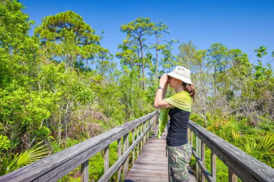 The Best Campsites for Birdwatching Enthusiasts in the U.S.