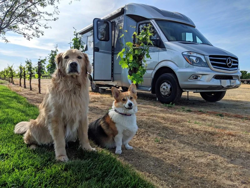 How to Travel Across the U.S. by RV with Pets: A Complete Guide