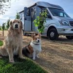 How to Travel Across the U.S. by RV with Pets: A Complete Guide