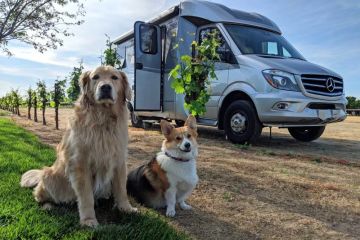How to Travel Across the U.S. by RV with Pets: A Complete Guide