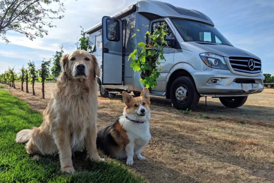 How to Travel Across the U.S. by RV with Pets: A Complete Guide