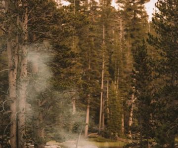 How to Safely Camp in Bear and Wildlife Areas – Essential Tips